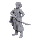 D&D Nolzurs Marvelous Miniatures Miniaturen unbemalt...