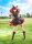 Uma Musume Pretty Derby PVC Statue 1/7 Nice Nature 26 cm