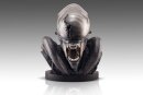 Alien Romulus Büste 1/1 Xenomorph 53 cm