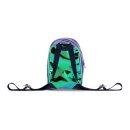 Harry Potter Mini-Rucksack Hedwig Shiny