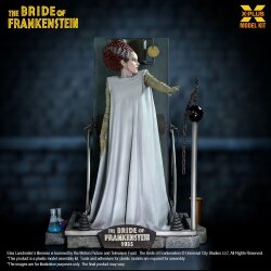 Frankensteins Braut Plastic Model Kit 1/8 Bride of Frankenstein 21 cm    - Beschädigte Verpackung