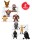 Evoretro Acryl Displayregal 2er-Pack RS9