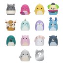 Squishmallows Squish-a-longs Minifiguren 14er Pack Set...