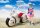 Dragon Ball S.H. Figuarts Fahrzeug mit Figur Bulmas Motorcycle Hoipoi Capsule No. 9 17 cm