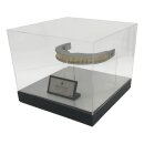 Star Trek Prop Replik 1/1 Geordi La Forge VISOR Limited...