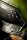 Doom The Dark Ages Replik Helm Doom Slayer 36 cm