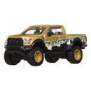 Hot Wheels Premium Car Culture Diecast Modellauto 1/64...