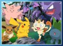 Pokémon Kinderpuzzle XXL Fang die Pokémon!...
