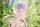 Original Character PVC Statue 1/6 Rurudo Eve Eden Ver. 25 cm