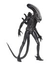 Alien 1979 Actionfigur 1/4 Ultimate 40th Anniversary Big...
