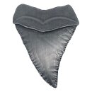 Jaws Medaille 50th Anniversary Shark Tooth