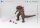 Godzilla x Kong The New Empire Exquisite Basic Actionfigur Heat Ray Godzilla Evolved Ver. 18 cm