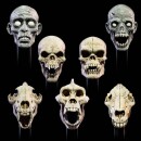 Mythic Legions: All Stars 6 Zubehör-Set für...