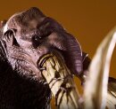 Godzilla Hall of Fame PVC Statue Titanus Behemoth 24 cm