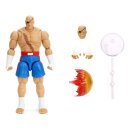 Ultra Street Fighter II: The Final Challengers...