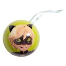 Miraculous - Geschichten von Ladybug und Cat Noir Mystery Display Miraball (24)