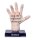 Wednesday Plüschfiguren The Thing 25 cm Sortiment (12)