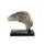 Jurassic Park III Büste Female Velociraptor White Queen 75 cm
