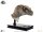 Jurassic Park III Büste Female Velociraptor White Queen 75 cm