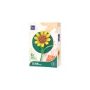 Pantasy Original Bauset Sonnenblume