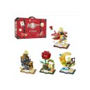 Der kleine Prinz Bauset Starry Ride Set