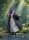 Frieren: Beyond Journeys End PVC Statue 1/7 Fern: Reflections of a Distant Memory 24 cm