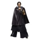 Star Wars: The Acolyte Black Series Actionfigur The Stranger (Qimir) 15 cm