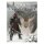 Dragon Age: Inquisition Artbook *Englische Version*