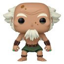 Avatar Der Herr der Elemente POP! Animation Vinyl Figur...