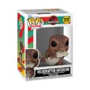 Jurassic Park Hatchling POP! Movies Vinyl Figur...
