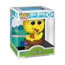 Sesamstraße POP! Deluxe Vinyl Figur Big Bird in...