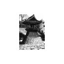 Lone Wolf and Cub Omnibus Manga Volume 2 *Englische...