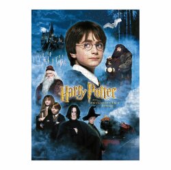 Harry Potter Puzzle Harry Potter and the Sorcerers Stone Movie Poster
