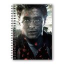 Harry Potter Notizbuch mit 3D-Effekt Harry Potter Face
