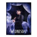 Wednesday Indoor-Matte Umbrella 80 x 60 cm