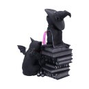 Cult Cuties Figur Curious Cauldron 18 cm