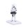 Original Stormtrooper Sanduhr Stormtrooper Times Up 17 cm
