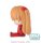 Evangelion: New Theatrical Edition Fuwa Petit Chibi Figur Asuka Plug Suit 8 cm