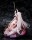 Goddess of Victory: Nikke Statue 1/7 Noir & Blanc Bunny X 777 Ver. 28 cm