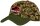 Jurassic Park Baseball Cap Camo