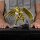 Saint Seiya Art Scale Statue 1/10 Sagittarius Aiolos 21 cm