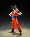 Dragon Ball Z S.H.Figuarts Actionfigur Son Goku (The...