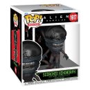Aliens Romulus Super Sized POP! Animation Vinyl Figur...