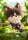Link Click Vinylkopf-Plüschfigur Wonderland series Cheng Xiaoshi 23 cm