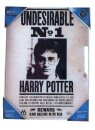 Harry Potter Glasposter Undesirable No. 1 30 x 40 cm