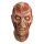 Freddys New Nightmare Maske Freddy Krueger