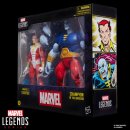 Marvel Legends Actionfiguren 2er-Pack Marvels Starfox & Champion of the Universe 15 cm