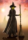 Wicked S.H. Figuarts Actionfigur Elphaba 14 cm