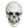 Mabry Monsters Maske Night Owl Skull White